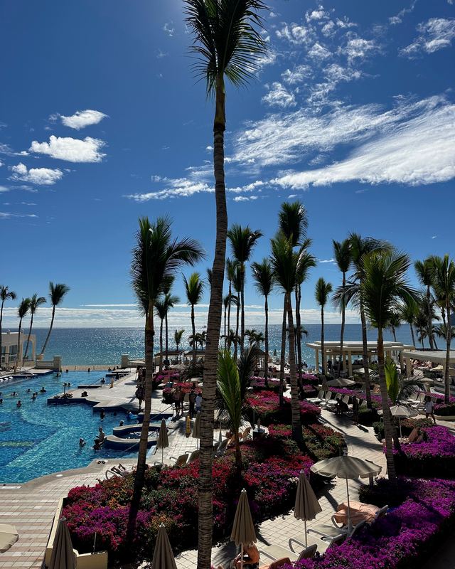 A resort pool lined with palm trees and pink flowers in Cabo San Lucas, Mexico