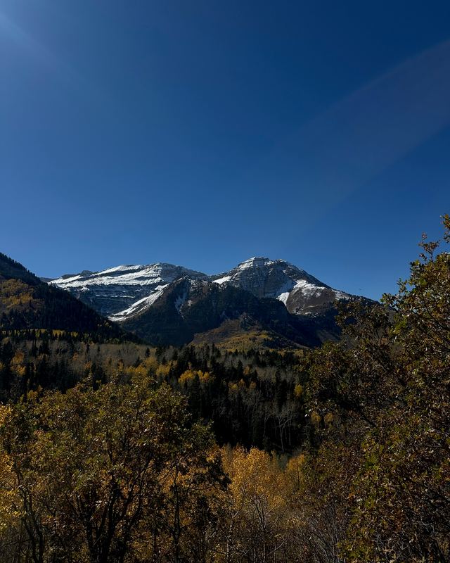 Snowy mountains above fall aspens in Utah