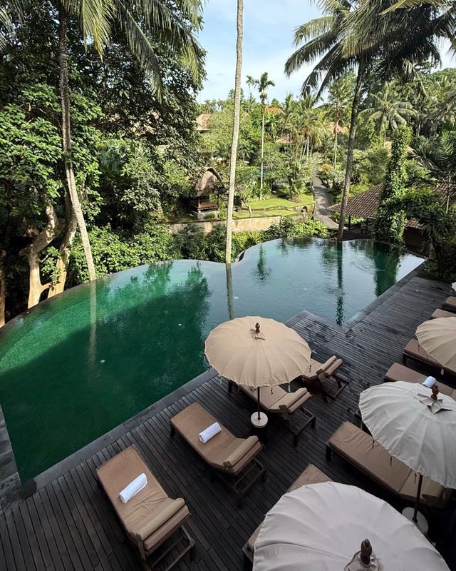 An infinity pool in the jungle in Bali