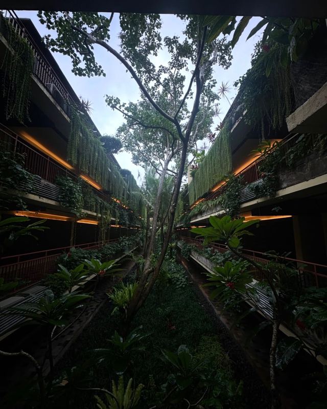 A hotel courtyard in Bali with hanging greenery